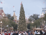 Disneyland Christmas